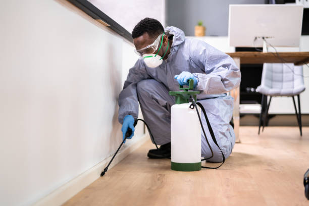 Best Pest Prevention Services  in Wrightwood, CA